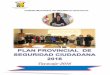 plan provincial de seguridad ciudadana 2016