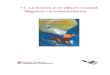 11. La lectura d'un àlbum il·lustrat: Magenta i la balena blanca