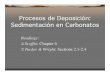 Procesos de Deposición: Sedimentación en Carbonatos Procesos 