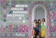 México. Lenguas indígenas nacionales en riesgo de desaparición 
