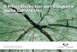 II Plan Director del Euskera de la UPV/EHU (2013-2017)