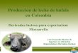 Produccion de leche de bufala en Colombia