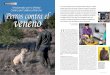 Una jornada con la Unidad Canina de Castilla-La Mancha