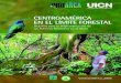 Centroamérica en el límite forestal. Desafíos para la implementación 