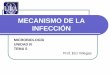 mecanismo de la infección microbiología unidad iii tema 5
