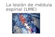 La lesión de médula espinal (lme)