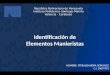 IDENTIFICACION DE ELEMENTOS MANIERISTAS