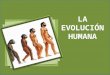 Tema 3 evolución humana