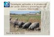 Tecnologías aplicadas a la producción del cerdo ibérico y presentación del proyecto TREASURE