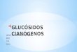 Glucosidos Cianogenicos Presentacion