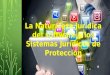 La Naturaleza Jurídica del software y los Sistemas Jurídicos de ProtecciónLa Naturaleza Jurídica del software y los Sistemas Jurídicos de Protección