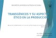 Transgenicos ensayo presentacion