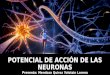 Potencial de acción de las neuronas