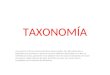 Bg taxonomia