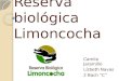 Reserva biológica-limoncocha