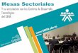Mesas Sectoriales Articuladas en una Estrategia de Innovación y Desarrollo Tecnológico: La Experiencia del SENA, Resultados e Impactos