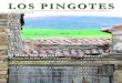 Revista Los Pingotes