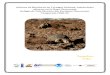 Informe de Monitoreo de Tortugas Paslama, Lepidochelys olivacea 