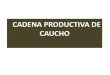 CSC BAJO CAUCA - PRESENTACIÓN CAUCHO
