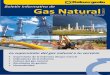 Boletín Informativo de Gas Natural 2012 - II