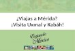 ¿Viajas a Mérida? ¡Visita Uxmal y Kabáh!