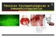 Técnicas histopatologicas e inmunohistoquimicas