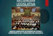 La Función Legislativa