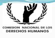 Comisión nacional de los dereschos humanos