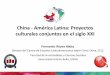 China - América Latina: Proyectos culturales conjuntos en el siglo XXI
