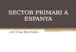 Sector Primario y Paisajes agrarios en España