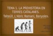Tema 1. la prehistòria en terres catalanes.  talteüll, l'arbre romaní, banyoles