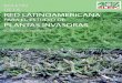 Boletín de la Red Latinoamericana para el Estudio de Plantas 