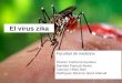 Virus zika