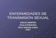 Enfermedades de transmisión sexual(2)