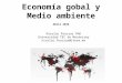 Economía global y medio ambiente