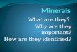 Minerals (1)