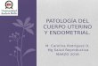 Patologia del cuerpo uterino y endometrial 2 da (1)