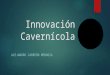 Innovación cavernícola