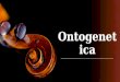Ontogenetica y-filogenética