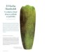 El Hacha Humboldt: un objeto ritual olmeca tallado en jadeitita