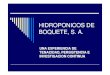 HIDROPONICOS DE BOQUETE, S. A. Una experiencia de 