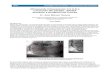 Ultrasonido Intravascular (I.V.U.S.): Lecciones del pasado, utilidad 