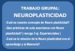 Trabajo grupal: Neuroplasticidad parte 1