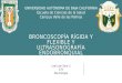 Broncoscopía rígida y flexible y ultrasonografía endobronquial