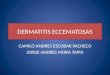 Dermatitis eccemotasas