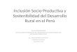 Inclusión Socio-Productiva y Sostenibilidad del Desarrollo Rural en el Perú / Javier Ramírez-Gaston R