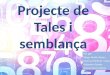 Projecte de Tales i semblança