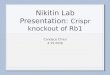 Nikitin Lab Presentation 4.15.16