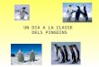 La classe dels Pingüins