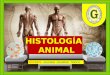 Histología  animal